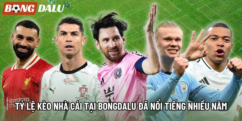 Tỷ lệ kèo nhà cái tại bongdalu đã nổi tiếng nhiều năm